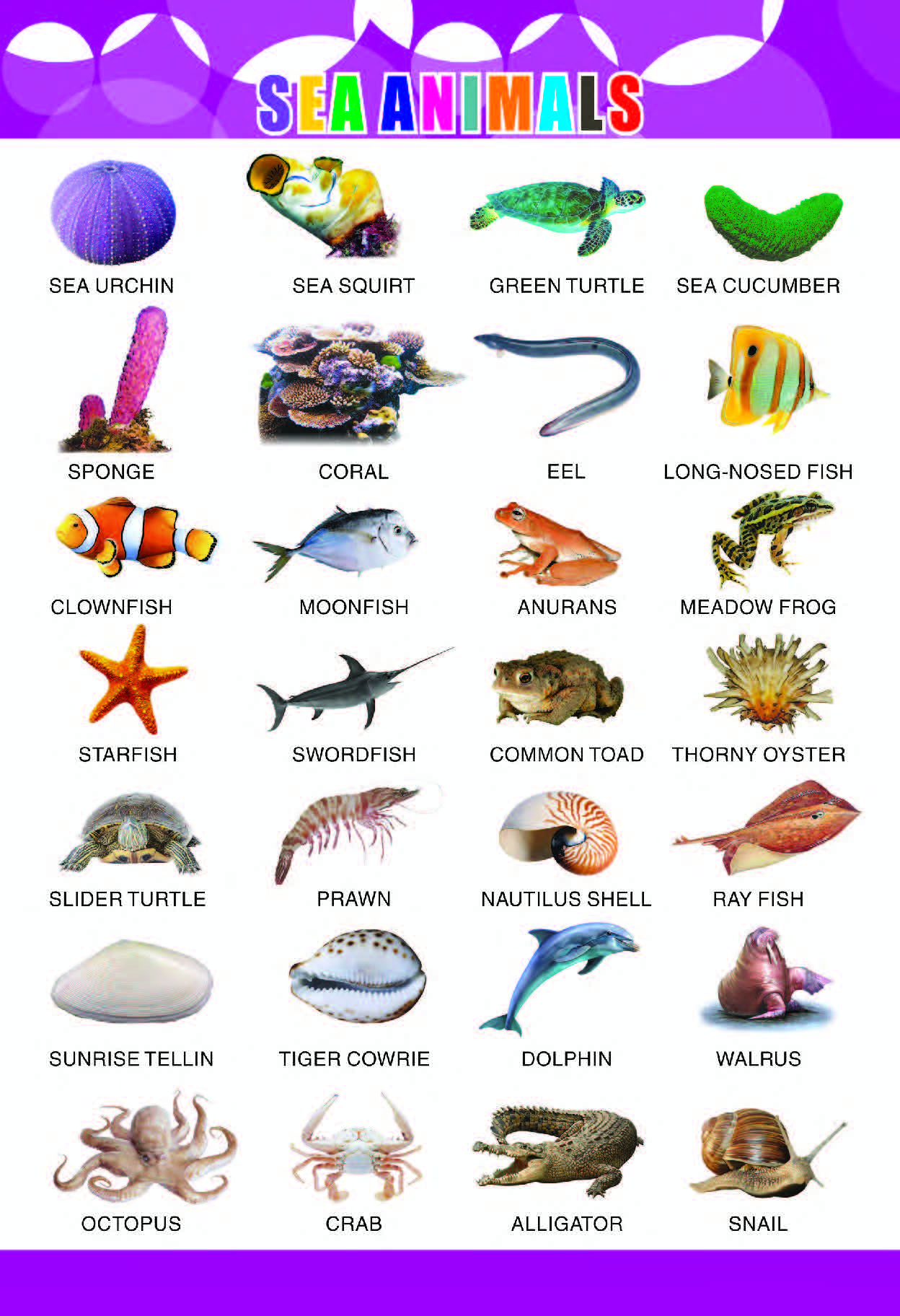 Sea Animals Chart for Kids