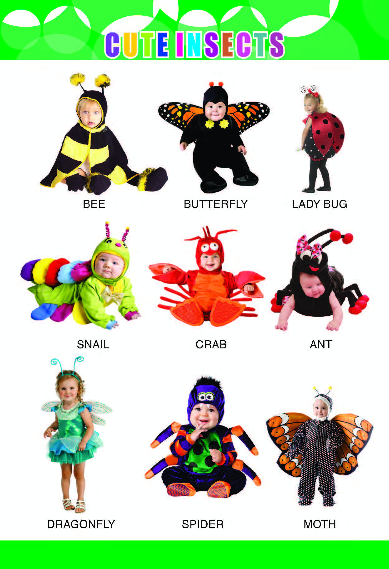 Cute Birds Chart for Kids