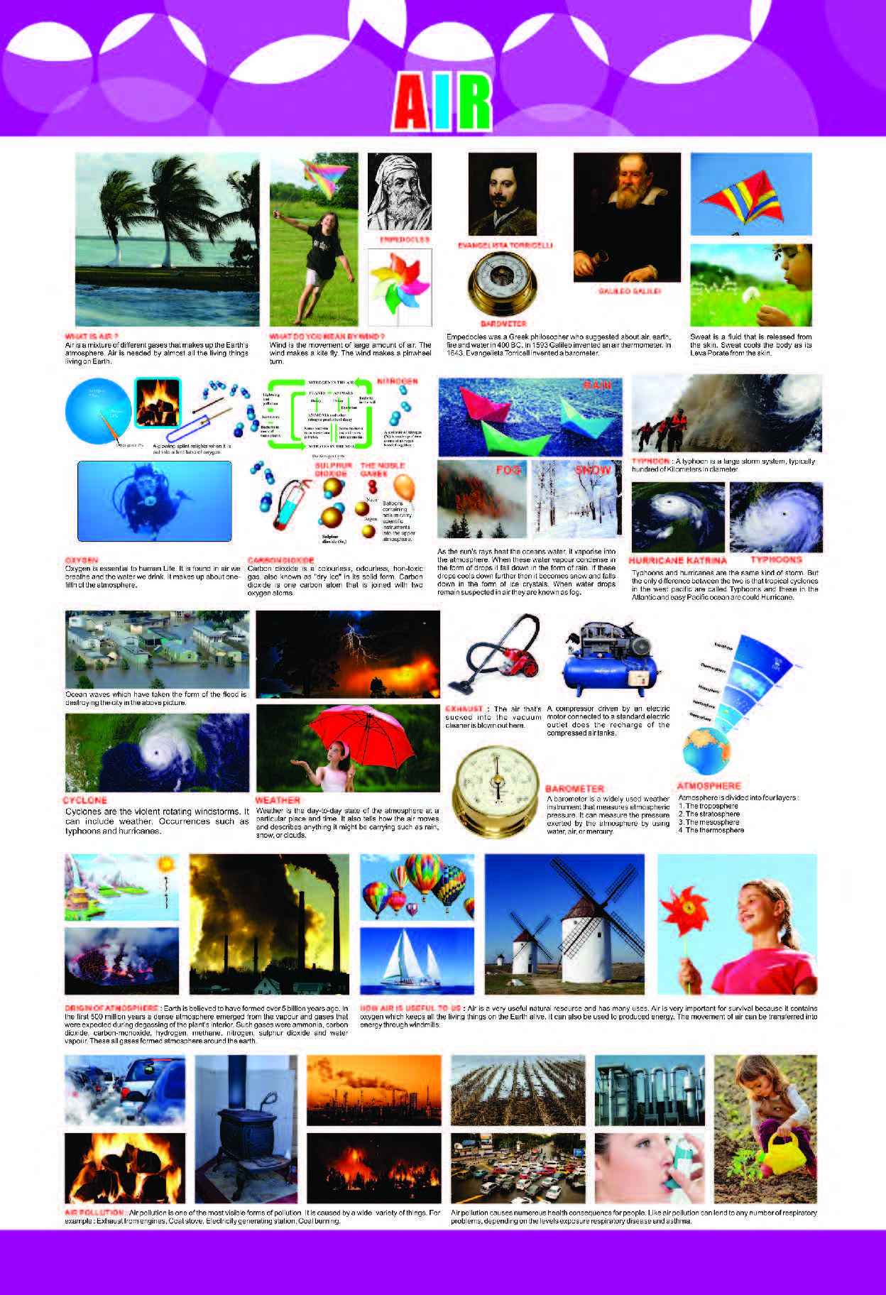 Environment & Science Educational Poster for Students