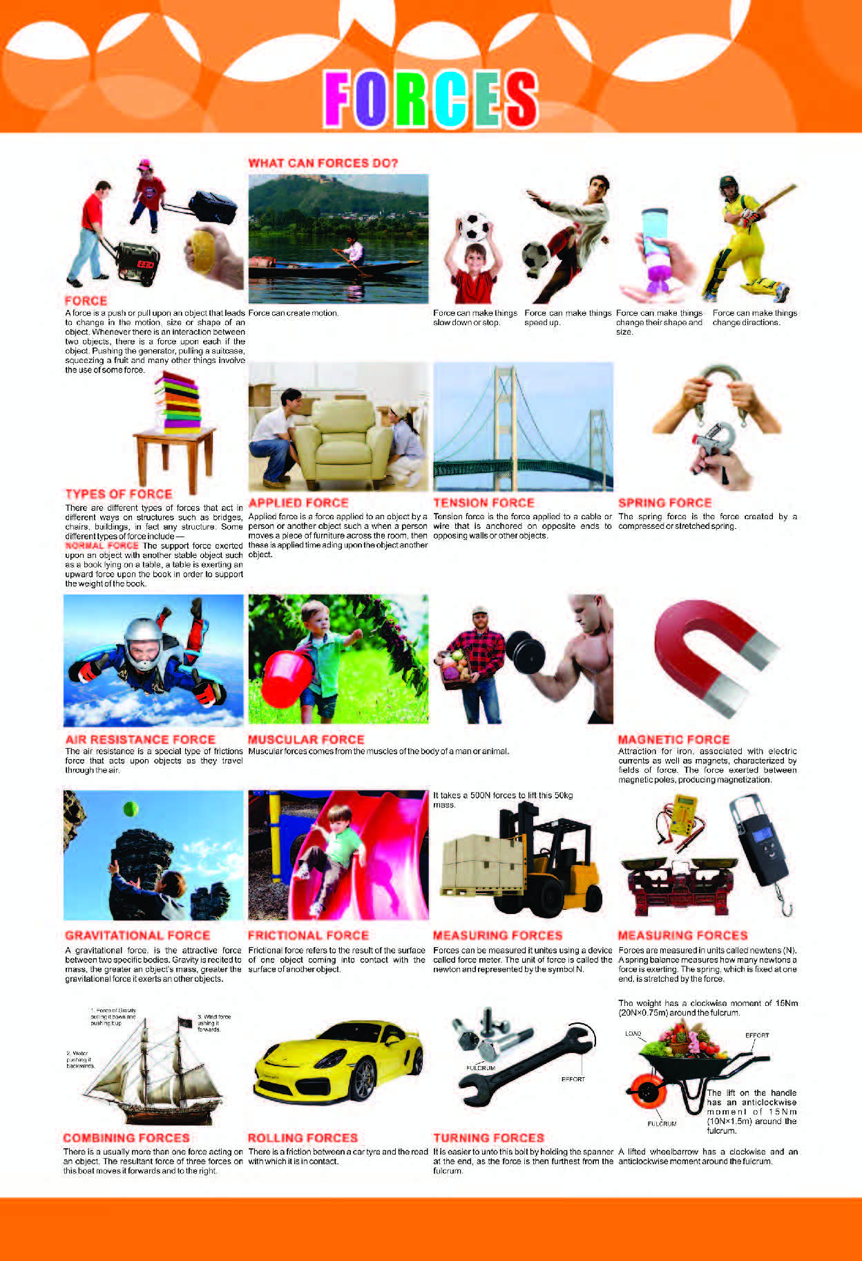 Forces Chart