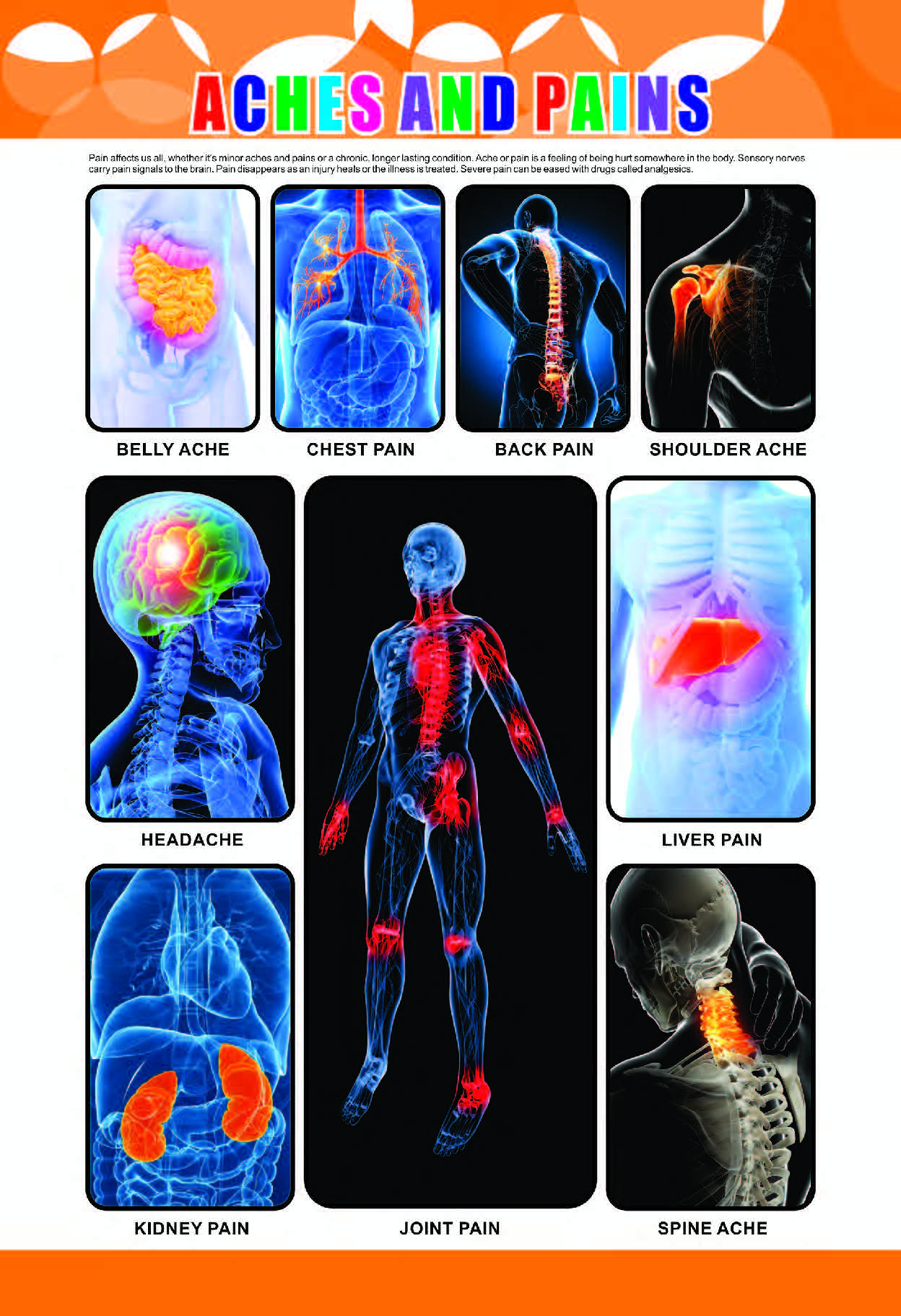 Aches and Pains Chart