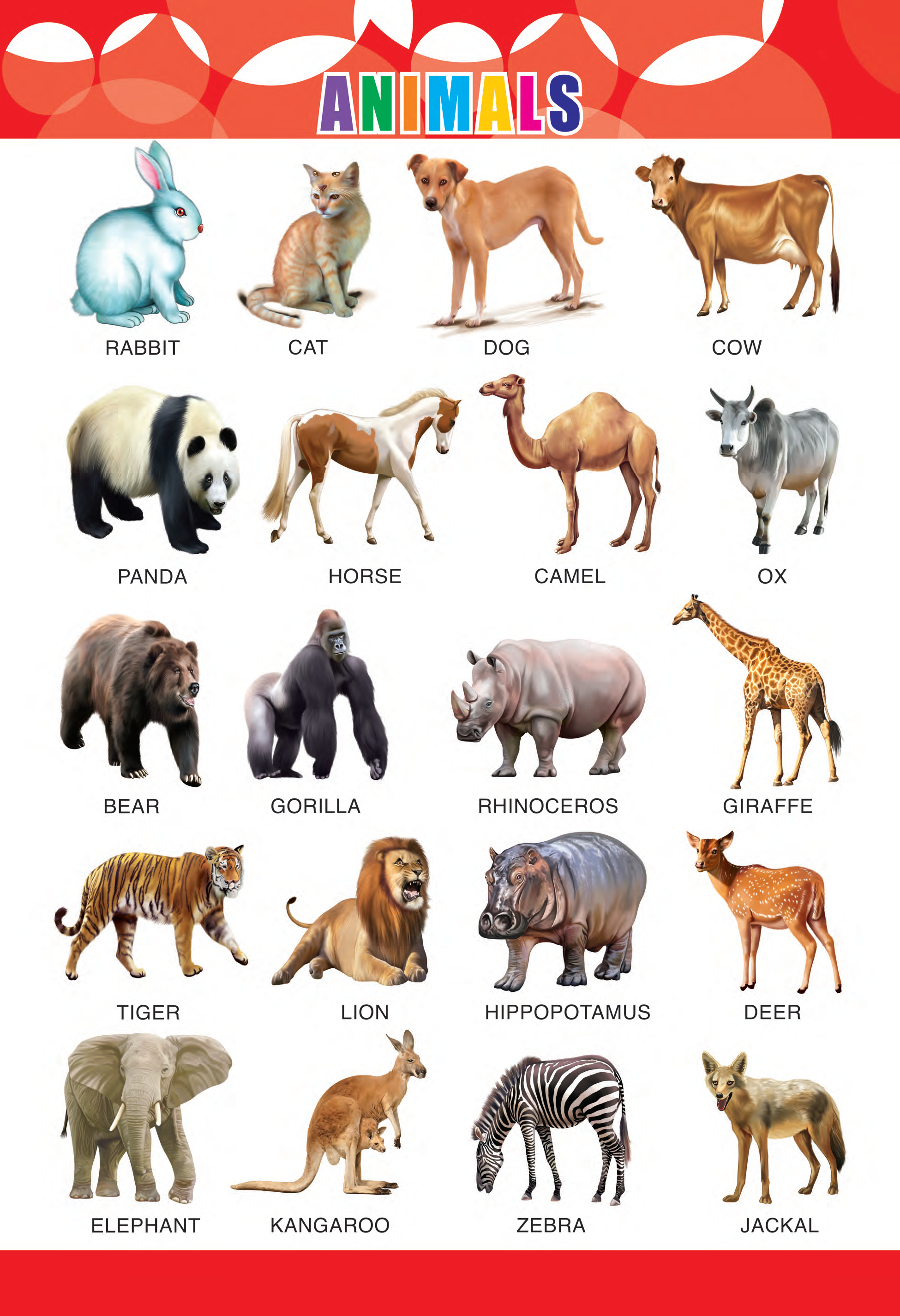 Animals Learning Chart for Kids