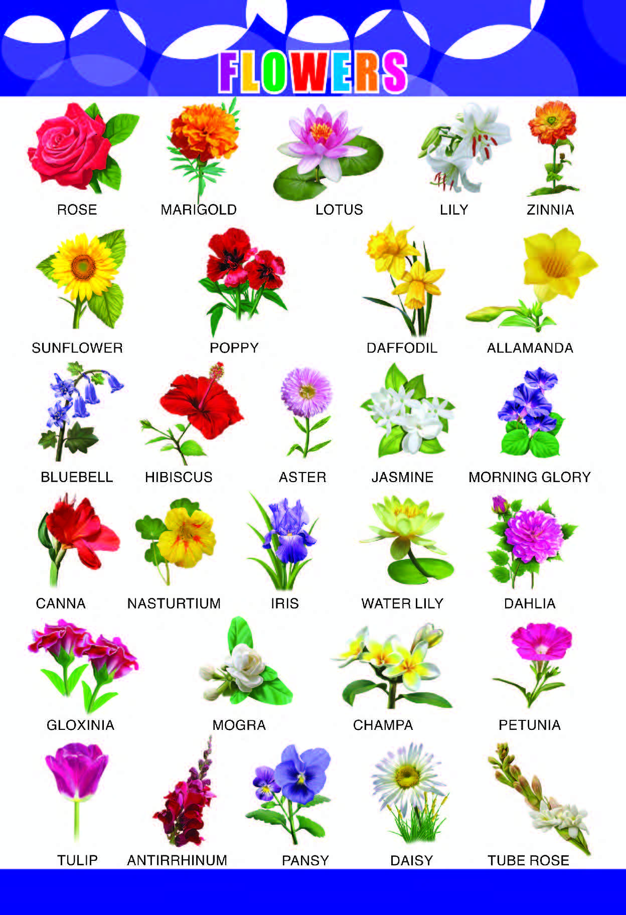 Flowers Chart for Kids