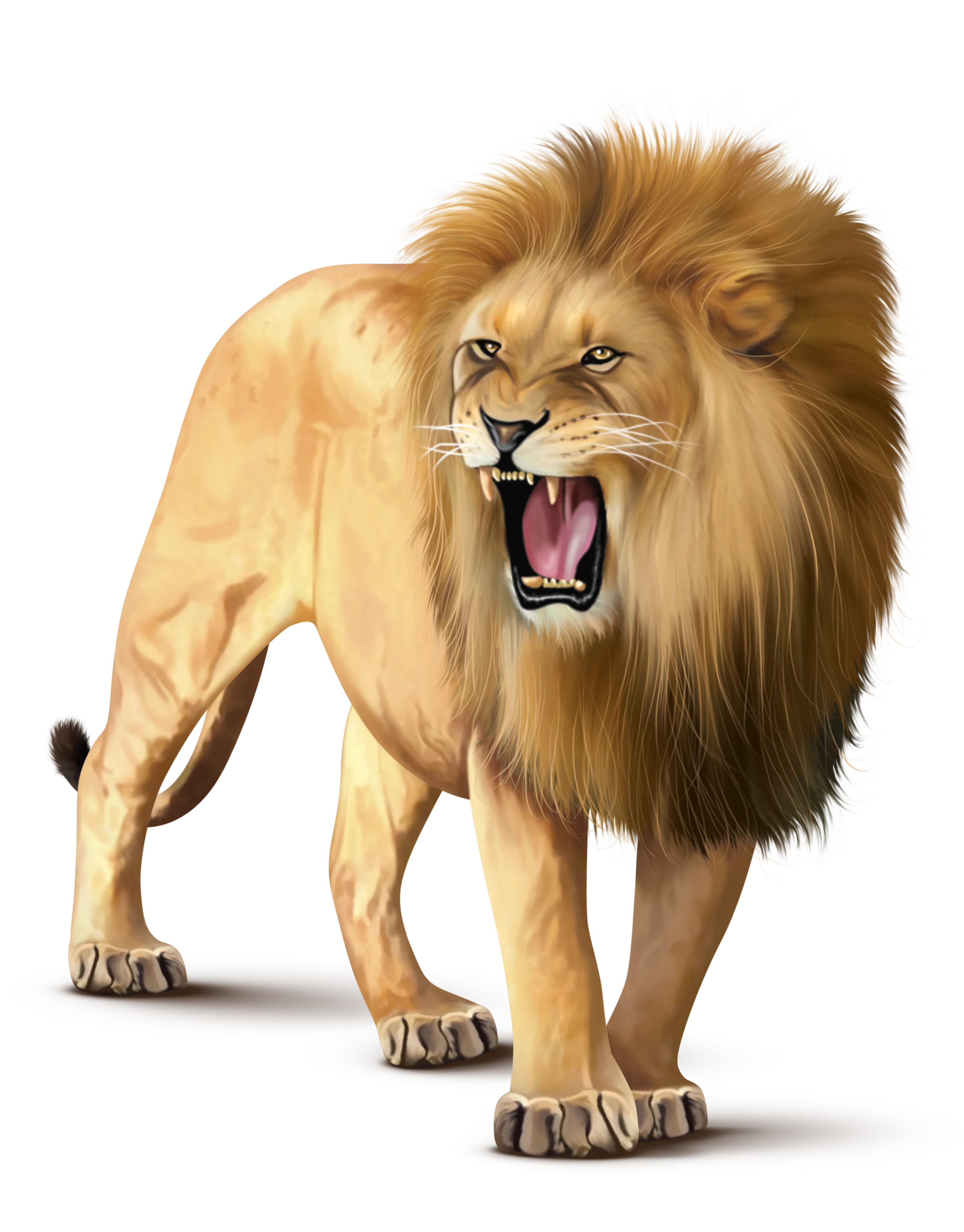 LION