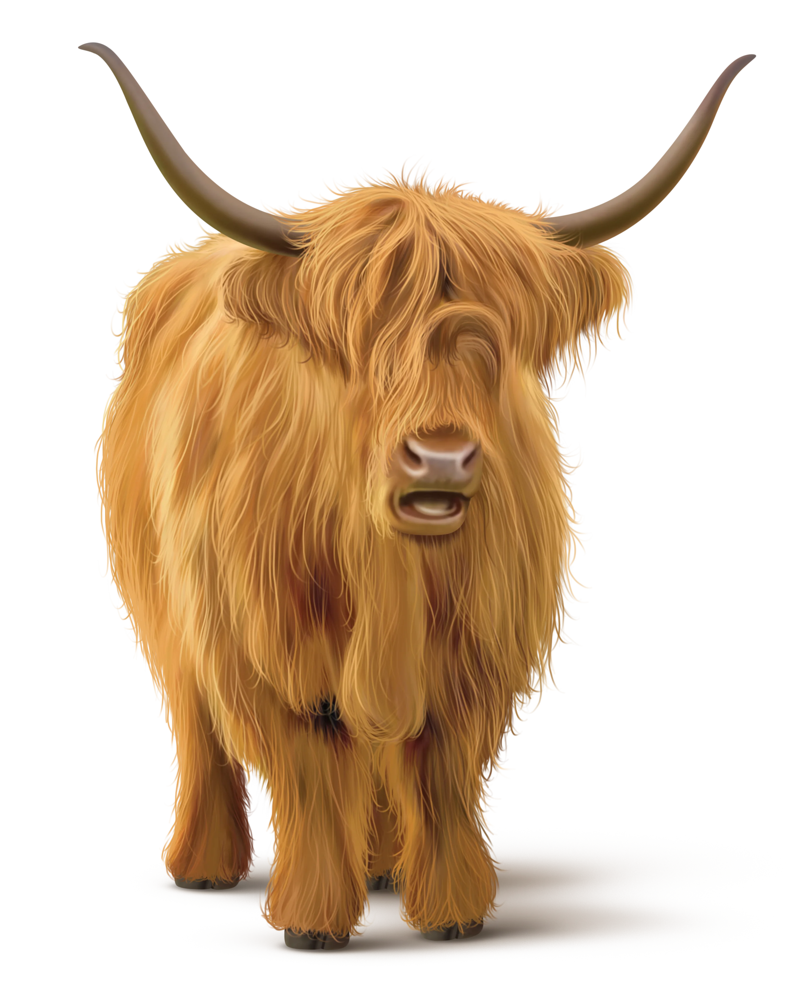 YAK